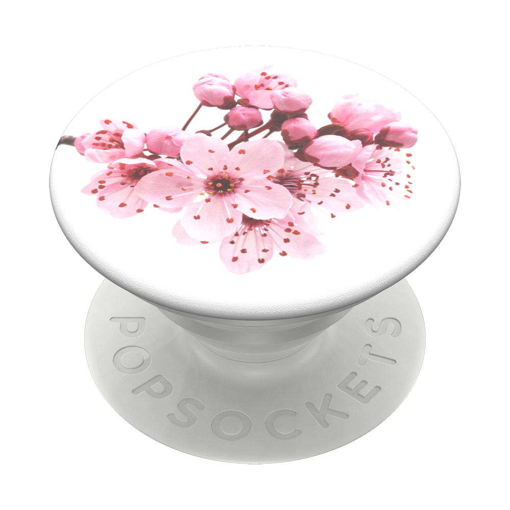 Cherry Blossoms, PopSockets