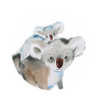 Koala Joey, PopSockets
